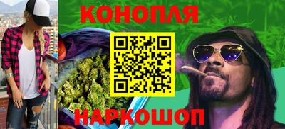 гашик Гатчина