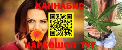 гашик Гатчина