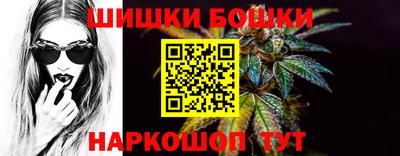 гашик Гатчина