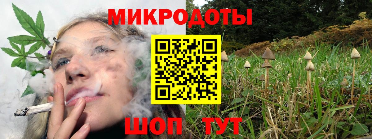 Псилоцибиновые грибы MAGIC MUSHROOMS  Вход с VPN  Богородск 